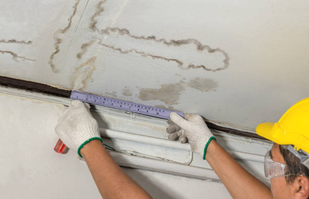 Reliable Mold Remediation contractor in Lee, ME by Water Damage Irwin